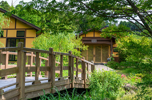 黄菖蒲の頃の玄関